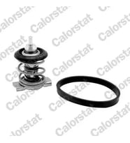 CALORSTAT VERNET TH928388J Termostat 55241404