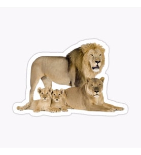 Aslan Ailesi Araba Oto Sticker Yapıştırma Etiket 17CM F9