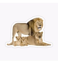 Aslan Ailesi Araba Oto Sticker Yapıştırma Etiket 17CM F9