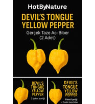 DEVIL’S TONGUE YELLOW PEPPER / 300.000 Scoville - Gerçek Taze Acı Biber
