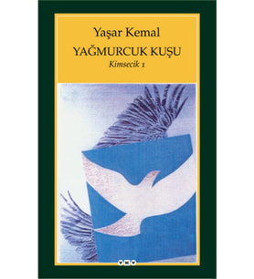 Yağmurcuk Kuşu - Kimsecik 1