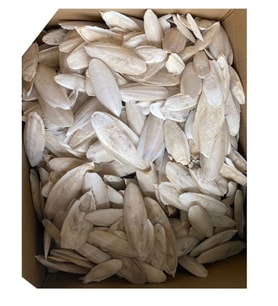 Nunbell KIRIK Mürekkep Balığı Kemiği (Kalamar) 500 Gr