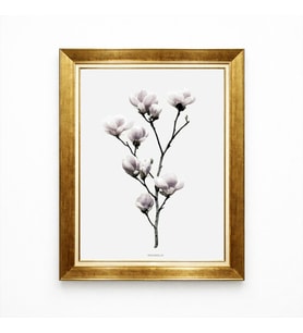 Tablore Manolya Çiçeği Temalı Modern Minimalist Salon Yatak Odası Çerçeveli Duvar Tablosu