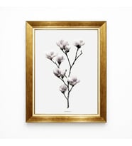 Tablore Manolya Çiçeği Temalı Modern Minimalist Salon Yatak Odası Çerçeveli Duvar Tablosu