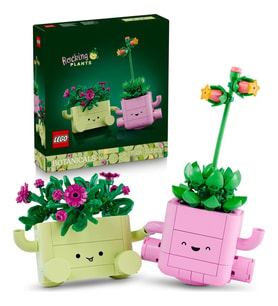 LEGO Botanicals 11506 Sallanan Bitkiler (253 Parça)