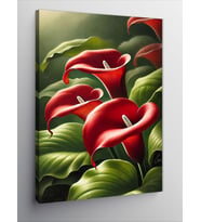 Kanvas Tablo Kırmızı Calla Lily Çiçekleri