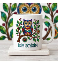 Kişiye Özel İsimli Vitray Tasarımlı Renkli Baykuş Seramik Kupa Bardak