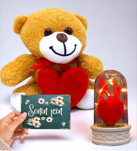Muhteşem Hediye Seti Kalpli Sevimli Peluş Ayıcık, Senin İçin Kartı ve Led Işıklı Fanus (Model 1)