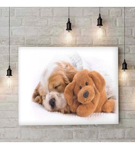 Yavru Köpek Ve Oyuncak Ayı Kanvas Tablo 5 En  40cm x Boy  60cm