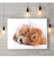 Yavru Köpek Ve Oyuncak Ayı Kanvas Tablo 5 En  40cm x Boy  60cm