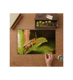 Yaprakta Böcek - Doğa Tasarımı 240 parça Ahşap Puzzle Ahşap Kutuda MP02543