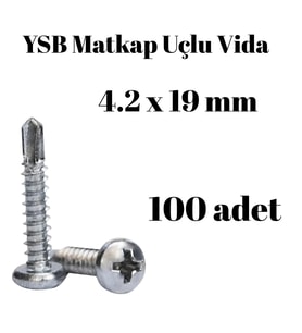 Yıldız Silindir Başlı 4.2x19 YSB Matkap Uçlu Akıllı Vida 100 Adet