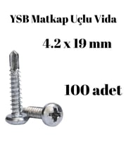 Yıldız Silindir Başlı 4.2x19 YSB Matkap Uçlu Akıllı Vida 100 Adet