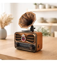 Everton Rt-607 Gramofon Görünümlü Orta Boy Radyo – Bluetooth, Şarjlı, RGB LED Işıklı Müzik Çalar