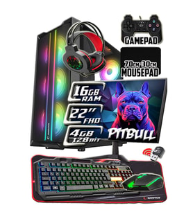 WarboX Pitbull X5650 İşlemci 16gb Ram 256gb SSD R7 240-4gb E.kartı 22" Monitör Gaming Takım PC (Siyah)