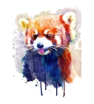 Red Panda Portre Tablo Ahşap Poster Dekoratif