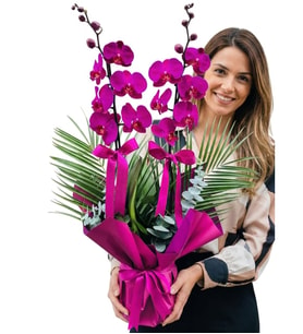 Özel Tasarım İki Dallı Mor Orkide Fenix ve Okaliptus Yapraklı Phalaenopsis