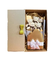 Solemia Sevgiliye Özel Peri LED Işıklı Dore-Gümüş Konsept Romantik Peluş Ayıcık Buketi (Kırmızı)
