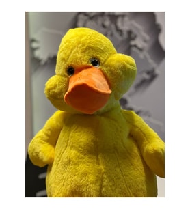 Çok tatlımı tatlı ördek 60cm (Çok Renkli)