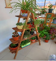 Wooden City Ahşap Kitaplık Ahşap Merdiven Kitaplık Ahşap Saksılık Raf