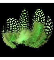50 ADET PUANTİYELİ YEŞİL SİYAH KUŞ TÜYÜ YEŞİL KUŞ TÜYÜ GREEN BIRD FEATHER YEŞİL ŞEFFAF BALON TÜYÜ