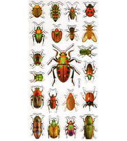 Sticker Kabartmalı Stiker Çıkartma Etiket (XHC083)-18x9 cm- Böcek Türleri