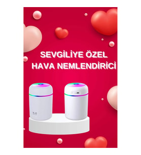 Mey İthalat® Sevgiliye Hediye Led Işıklı Hava Nemlendirici USB Şarjlı Sevgiliye Özel