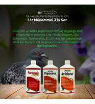 Royal İlaç Güvercin ve Kafes Kuşları İçin 1 Lt Mükemmel Üçlü Set (Acidoral+Pigeorex+Pantonic)