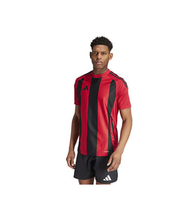 Adidas STRIPED 24 JSY Erkek Futbol Forması IW4556 Renkli (Çok Renkli)