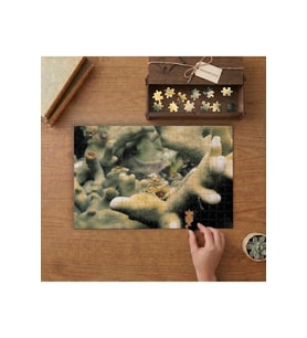 Deniz Altı Bitkileri- Sualtı Canlıları Tasarımı 240 parça Ahşap Puzzle Ahşap Kutuda MP00248