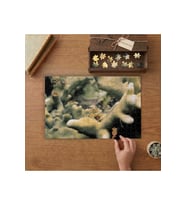 Deniz Altı Bitkileri- Sualtı Canlıları Tasarımı 240 parça Ahşap Puzzle Ahşap Kutuda MP00248