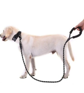 Reflektörlü 130Cm Siyah Köpek Tasması