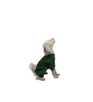 Pawstar Kedi ve KÜÇÜK Köpek Koyu Yeşil Smile Tulum M Sırt28cm Göğüs41cm Boyun26cm