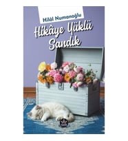 Hikaye Yüklü Sandık