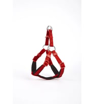 Köpek Göğüs Tasması XXS 30*35 cm Kırmızı