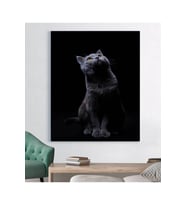 Siyah Kedi Duman Kanvas Tablo Sevimli Kedi Tablosu Evcil Hayvan Tablosu
