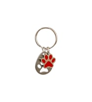 Zekupp Kedi Köpek Künye Tasma Aksesuarı DİŞİ M5