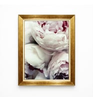 Tablore Beyaz Ve Pembe Şakayık Çiçeği Peony Gold Çerçeveli Tablo Modern Soft Yatak Odası Salon Tablosu