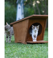 MANDU Ahşap Mini Kedi Evi (Yeni Doğan evi) (Kahverengi)