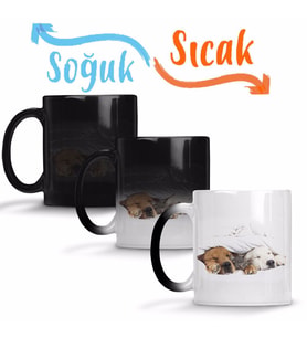 Cats Collection Three Sihirli Kupa Bardak Porselen