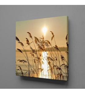 ÇİÇEK TARLASI KANVAS TABLO 160x160cm