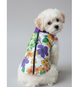 Flora Rain Küçük Köpek Yağmurluk Ceket (Çok Renkli)