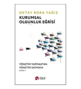 Kurumsal Olgunluk Eğrisi