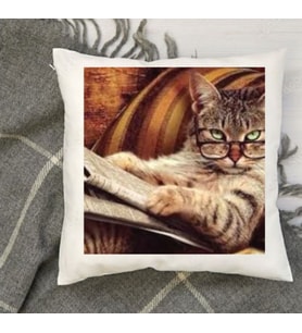 Kişiye Özel Fotoğraf Basklı Kedi Evi Yastığı İpeksi Kadife