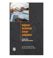 Bağımsız Denetimde Uzman Çalışmaları