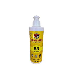 SHİNE PROTECT B3 CİLA 250ML (Çok Renkli)
