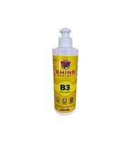 SHİNE PROTECT B3 CİLA 250ML (Çok Renkli)
