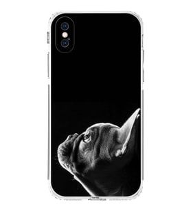 PrintiFy iPhone X ile Uyumlu Köpek 1 Kamera Korumalı Şeffaf Kılıf