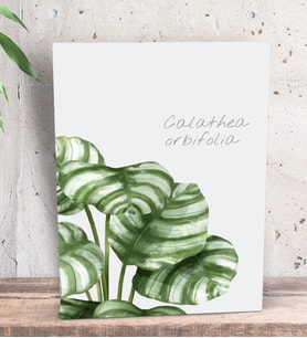 BK Gift Green Plant Tasarımlı Dekoratif Mini Kanvas Tablo 15x20cm-2