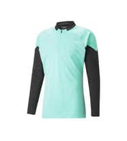 Puma Teamcup Training 1/4 Zip Top Erkek Futbol Uzun Kollu Antrenman Üstü 65798225 Yeşil
